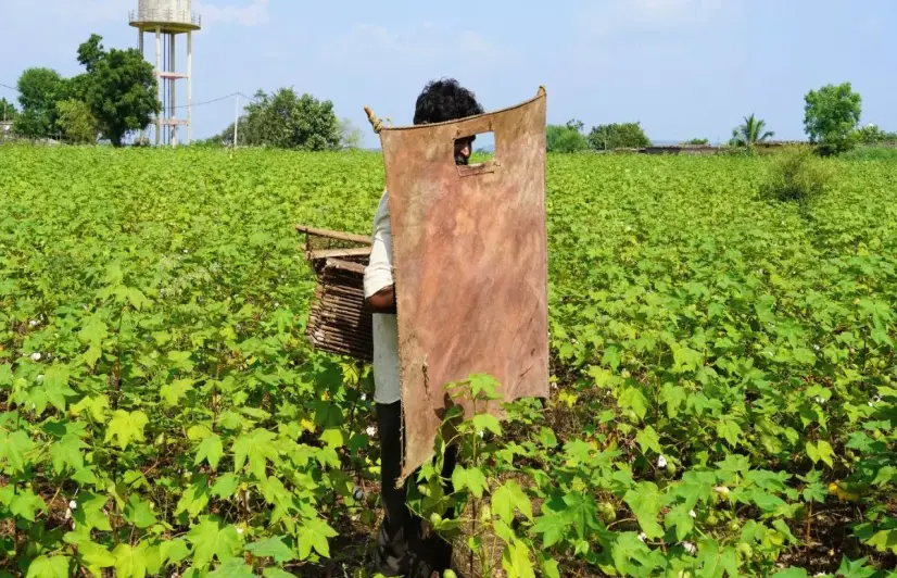 As changing climate erodes traditional livelihoods, Maharashtra’s vulnerable Pardhi community is forced to migrate
