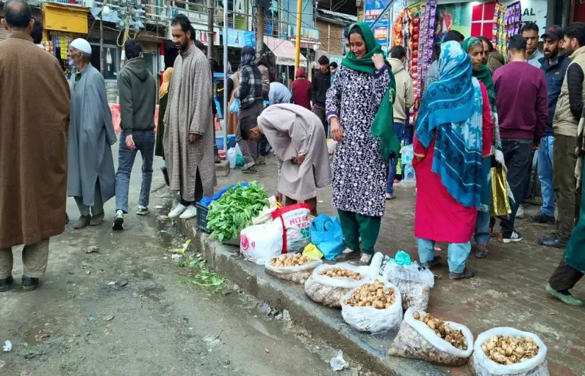 In Kashmir’s forests, wild mushrooms bring seasonal cash for school expenses