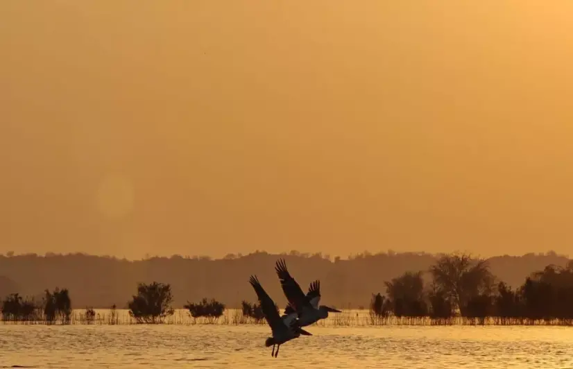 In Rajasthan’s Badopal, a wetland created by floods divides a village