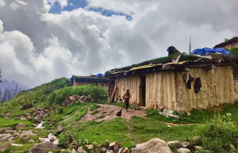 In Tosamaidan, a traditional knowledge of plants is fading with landscape changes
