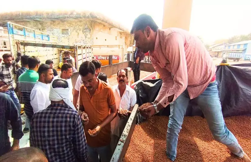 MSP delays cost chickpea growers thousands in Khargone