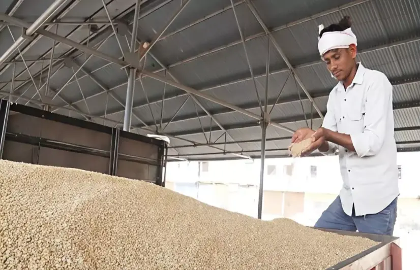 Tears in the harvest: How MP’s ‘farmer welfare year’ became a season of ruin