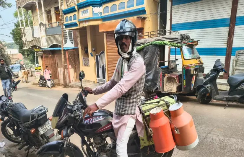 Why Madhya Pradesh's milk still flows outside the cooperative system
