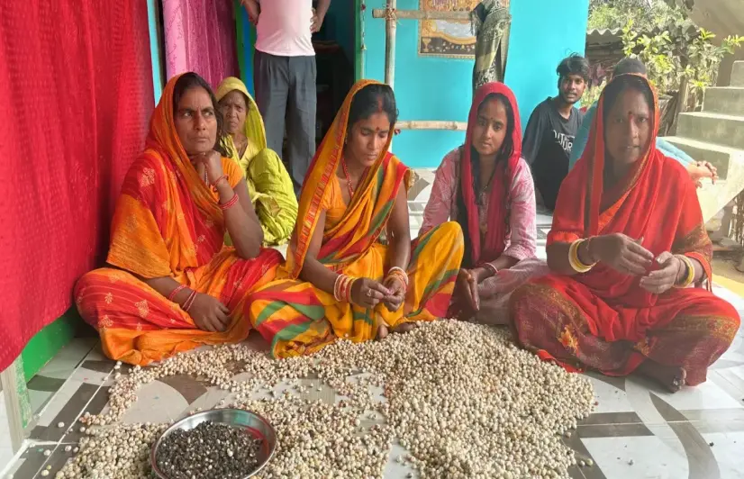 How the women behind makhana’s global rise remain its lowest-paid workers