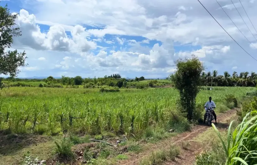 Shaktipith Expressway threatens to fragment farms in Sangli villages