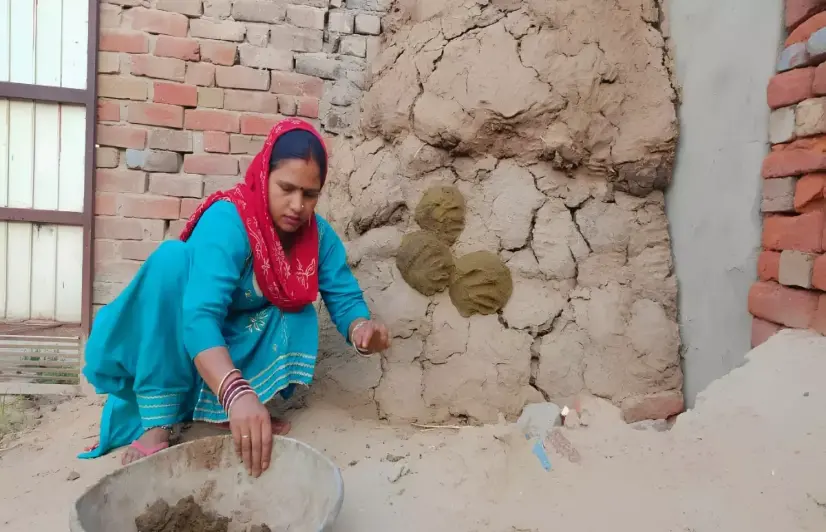 The women behind Rajasthan’s cow dung cake economy