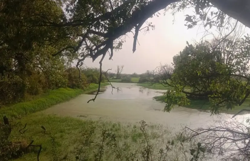 Keoladeo’s water lifeline is running into trouble