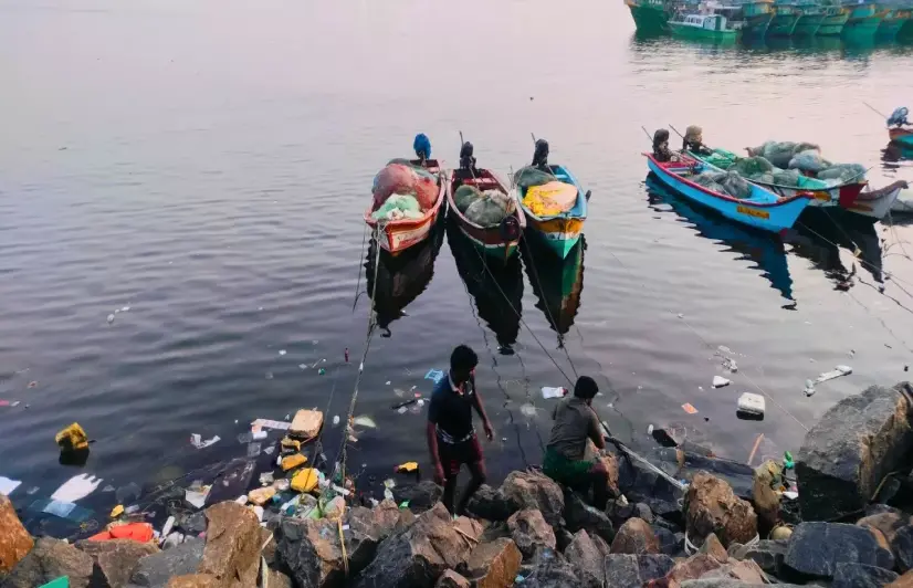 The local songs are disappearing as Pulicat’s fishing life changes